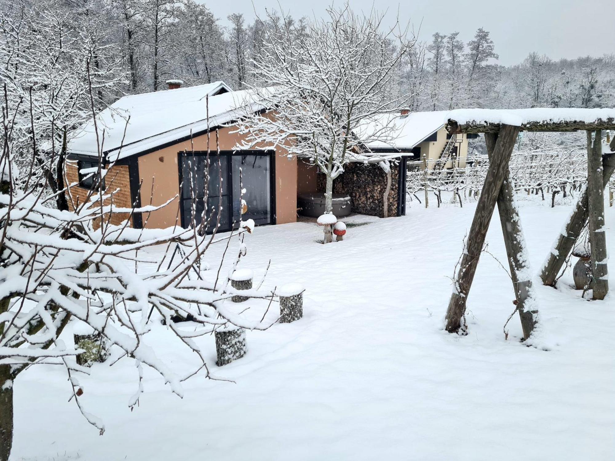 Gozdarjeva Hiska M&K Villa Dobrovnik Exterior foto