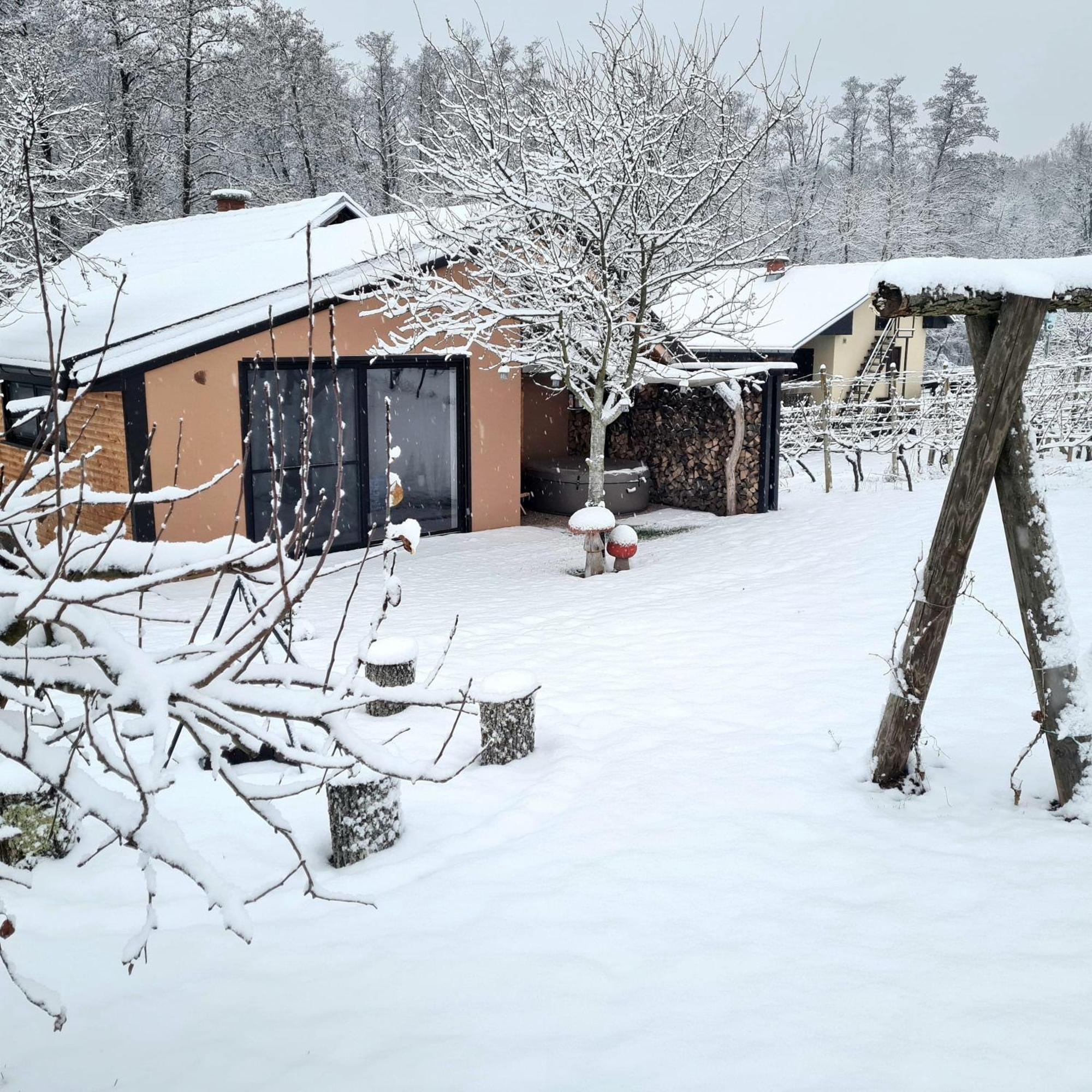 Gozdarjeva Hiska M&K Villa Dobrovnik Exterior foto